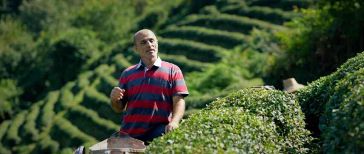 Yapımcı M. Kerem Kurtuluş'un yeni filmi 'Toprağa Dönüş' belgeselinin festival yolculuğu başlıyor Yapımcı M. Kerem Kurtuluş'un yeni filmi 'Toprağa Dönüş' belgeselinin festival yolculuğu başlıyor