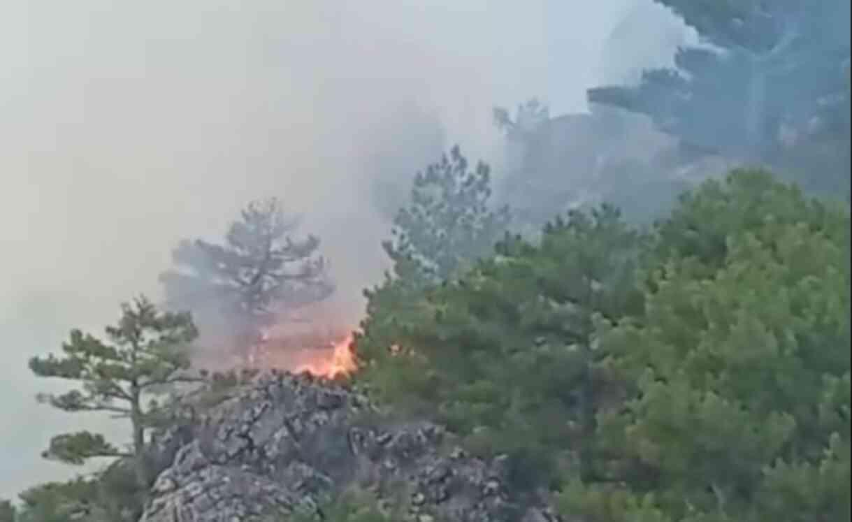 Alevler yerleşim yerlerine yaklaşıyor! Denizli'deki orman yangını günlerdir söndürülemedi