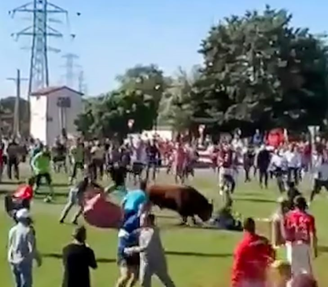 Kızgın boğanın üzerinden atlamak isterken aldığı tek boynuz darbesi ile öldü