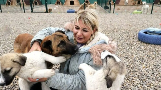 Bağış paralarıyla 20 milyonluk vurgun: 'Köpek velisi' tutuklandı