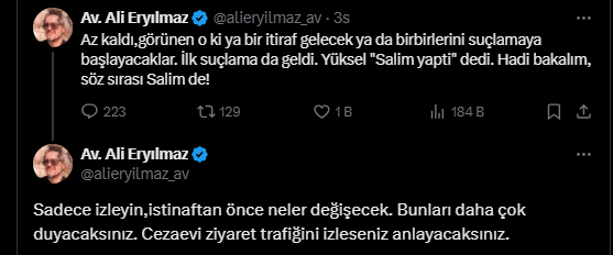 Narin Güran davasına ilişkin çarpıcı iddia: Anne Yüksel Güran, 'Salim yaptı' dedi