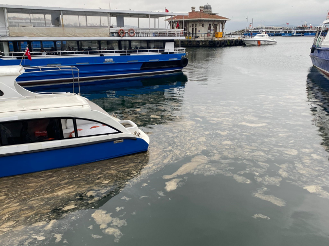 Kadıköy'de deniz yüzeyinde ürküten görüntü