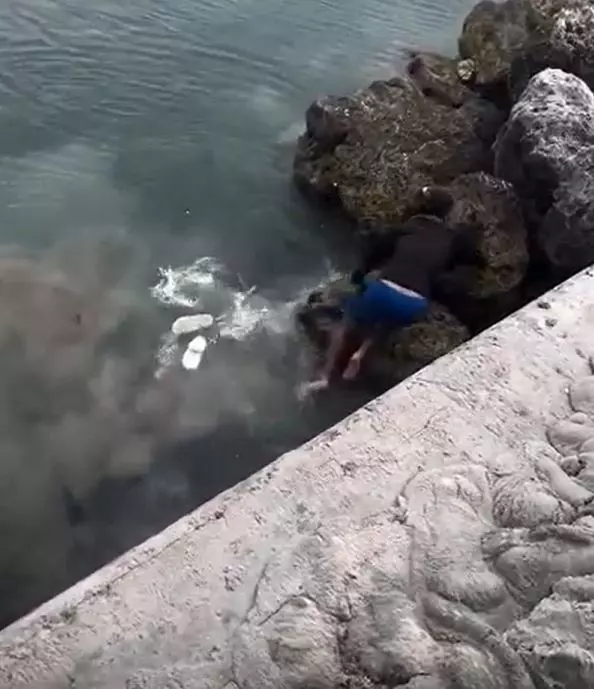 Fotoğraf çekerken köpek balığının üzerine düşen balıkçı ölümden kıl payı kurtuldu