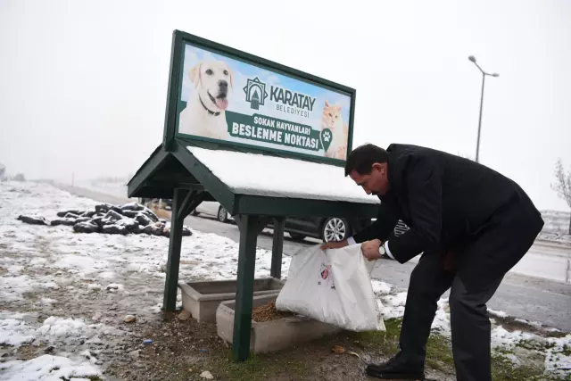 Karatay'da mahalleli böyle isyan etti: Önlem alınmazsa köpekleri biz öldüreceğiz