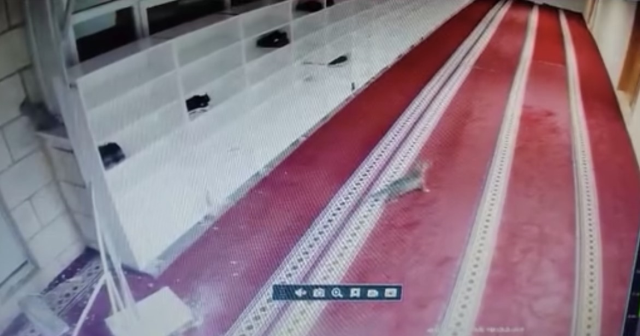 Kedinin caminin asma tavanını yıkarak aşağı düştüğü anlar kamerada