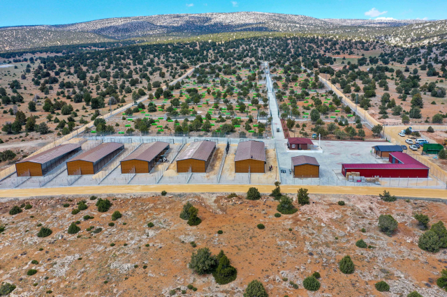 Meram Belediyesinden Sahipsiz Köpek Sorununa İnsani ve Vicdani Çözüm