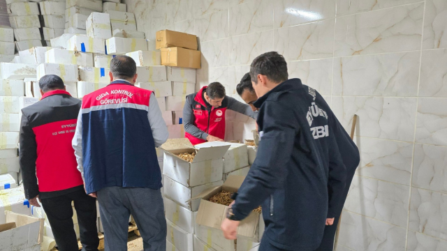 11 ton küflenmiş ceviz ele geçirildi