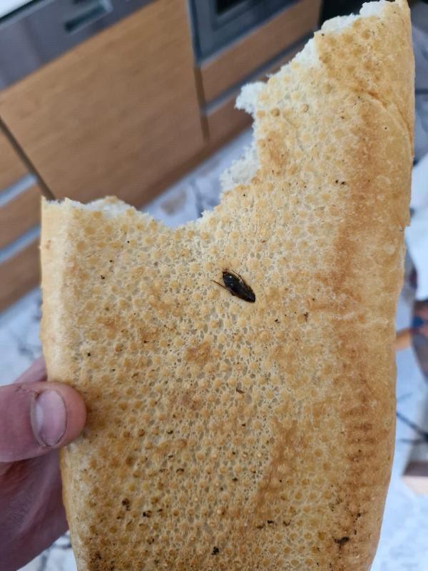 Vatandaşa satılan ekmeğin içinden çıkana bakın! Kontrol etmese yiyecekti