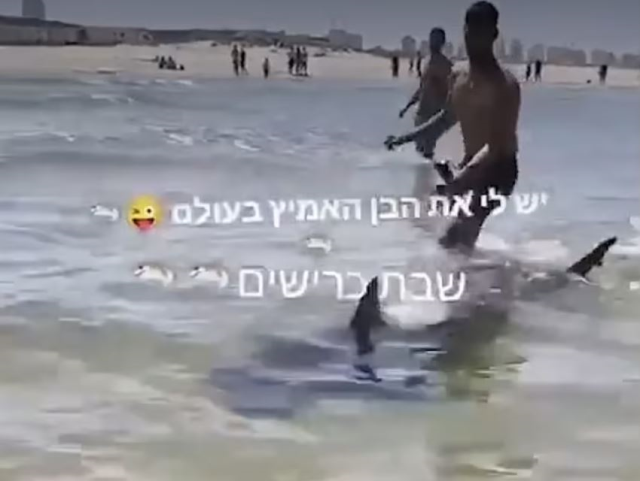 Uyarıları dikkate almayan adam, köpek balığı saldırısına uğradı