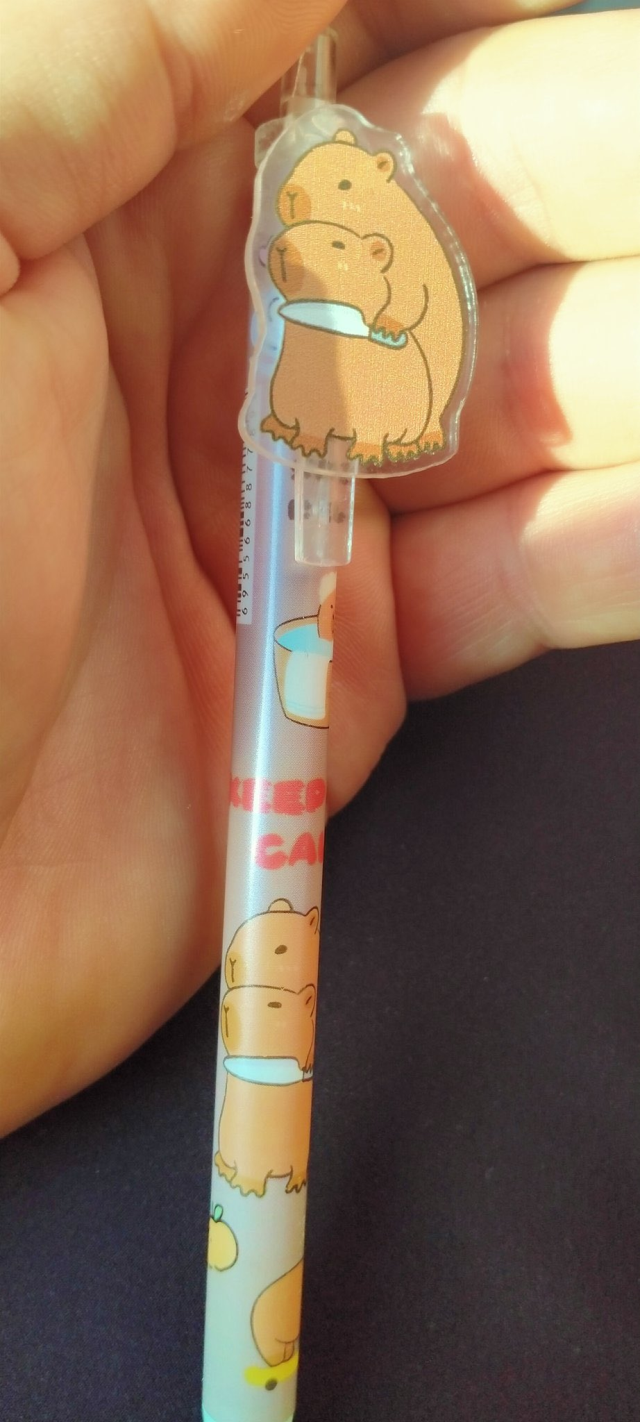 Buna kim, nasıl müsaade etti? Okulun karşısındaki kırtasiyede satılan kalem pes dedirtti