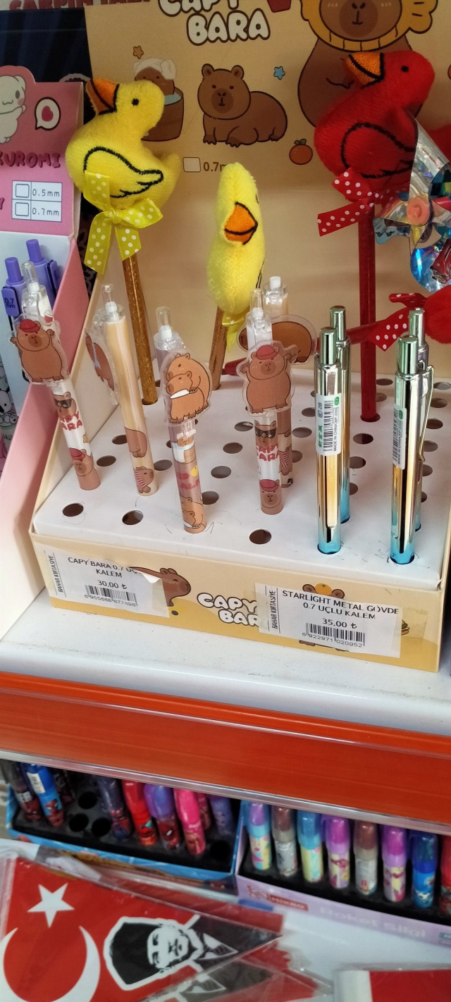 Buna kim, nasıl müsaade etti? Okulun karşısındaki kırtasiyede satılan kalem pes dedirtti