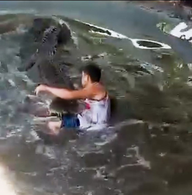 Heykel sandığı gerçek timsahın saldırısına uğrayan turist ağır yaralandı