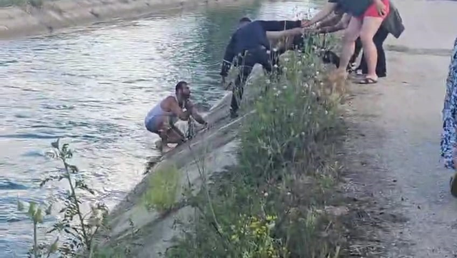 Sulama kanalına düşen genç, kendisini kurtarmaya gelenleri tehdit etti
