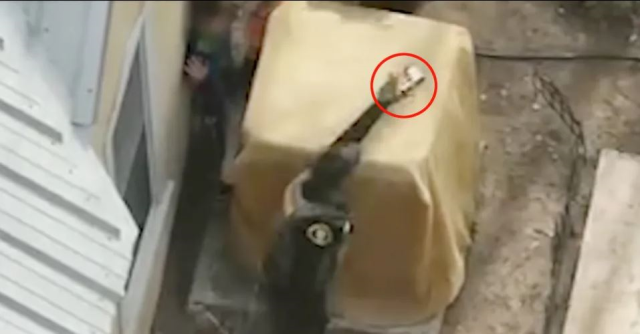 Polis, ellerindeki tabancaları bırakmayan 7 ve 9 yaşındaki iki kardeşe ateş açtı