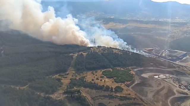 İzmir Aliağa'da orman yangını! Alevlere müdahale devam ediyor