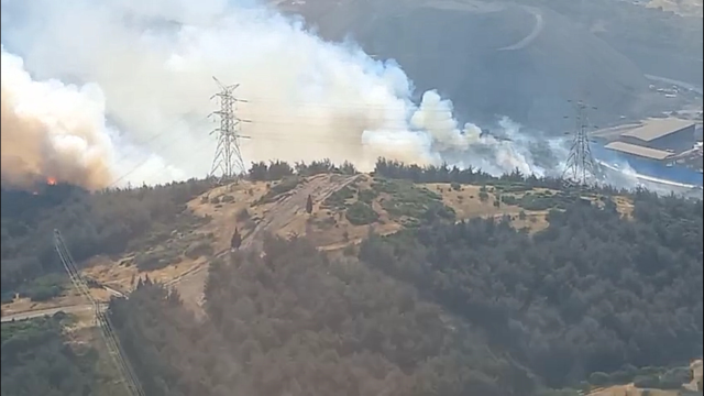 İzmir Aliağa'da orman yangını! Alevlere müdahale devam ediyor