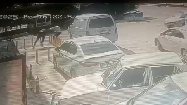 Önce tokalaştı sonra bacaklarından vurdu