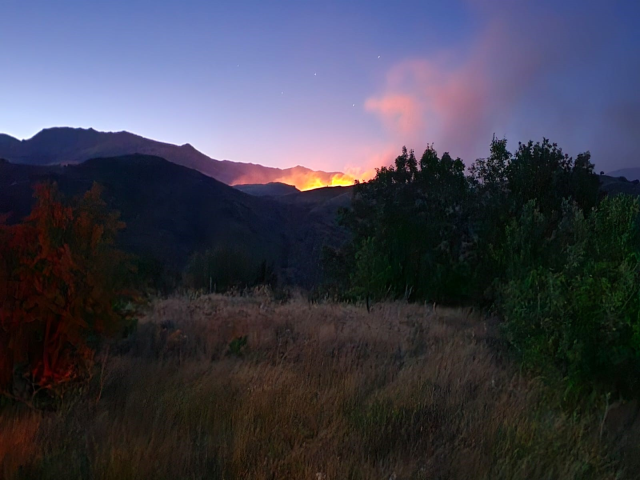 Bir yangın da Elazığ'da: Yerleşim yerleri boşaltılmaya başlandı