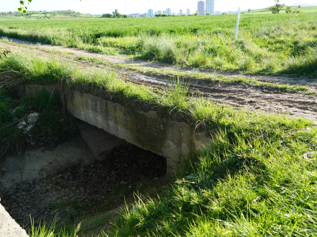 Başını kesip sulama kanalına attı, mahkemede 'Pişmanım' deyip başsağlığı diledi