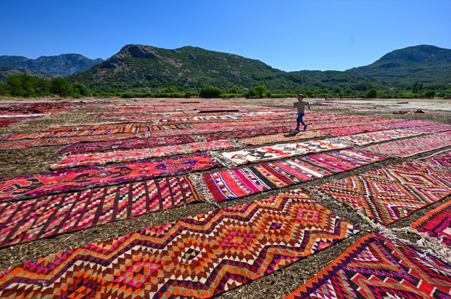 Kavurucu sıcaklar, tarlalara serilen halıların daha fazla pastelleşmesini sağlayacak