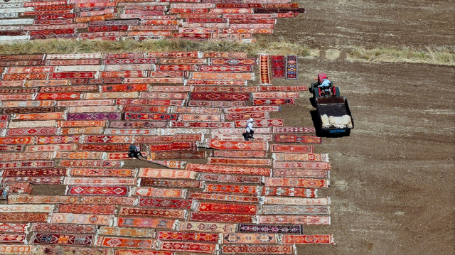 Kavurucu sıcaklar, tarlalara serilen halıların daha fazla pastelleşmesini sağlayacak
