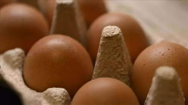 Bakanlık duyurdu: Yumurta ihracatında kesinti kaldırıldı