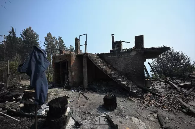 Yüzde 72'si ormanla kaplı Karabük'ün son hali yürek yakıyor