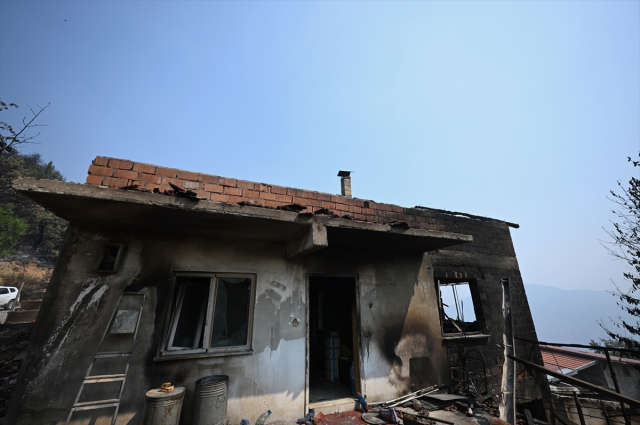 Yüzde 72'si ormanla kaplı Karabük'ün son hali yürek yakıyor