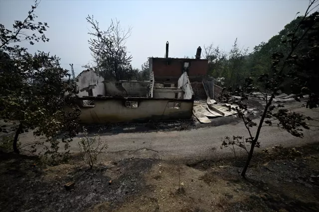 Yüzde 72'si ormanla kaplı Karabük'ün son hali yürek yakıyor