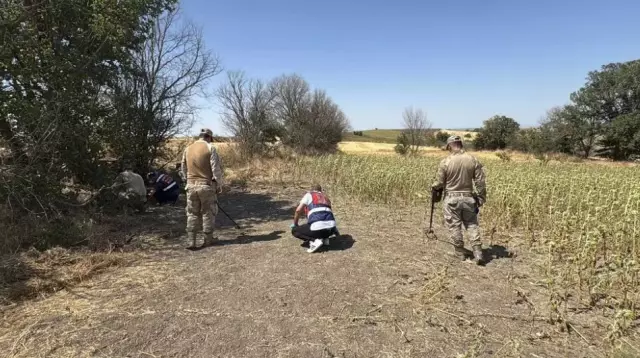 Tarlada başlayan yasak aşk, tarlada bitti