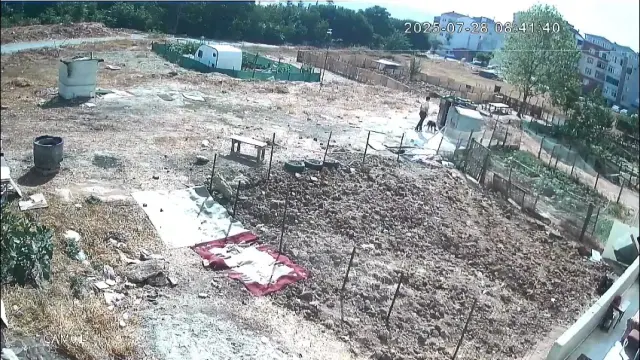 Bir köpeği işkenceyle katletti, diğerinin boğazını sıkıp derisini yüzdü