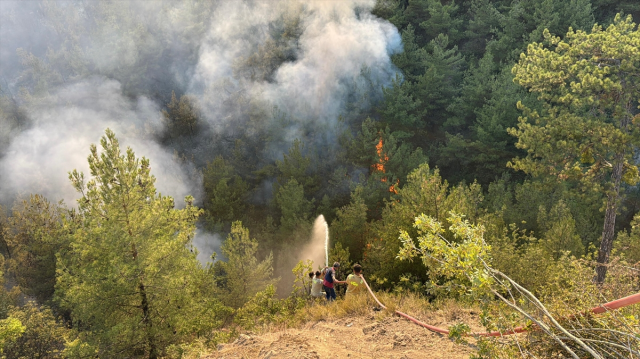 Karabük'te ormanlık alanda yeniden yangın çıktı