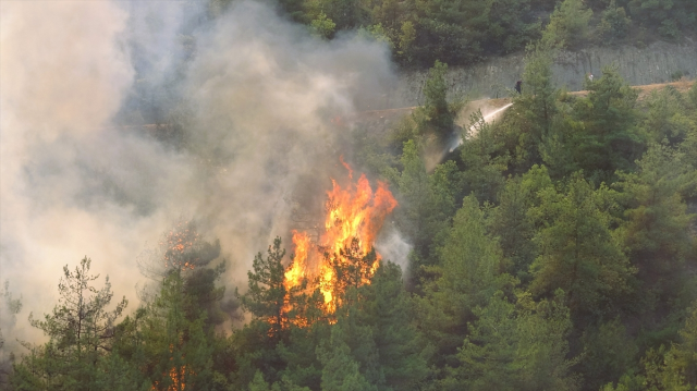 Karabük'te ormanlık alanda yeniden yangın çıktı
