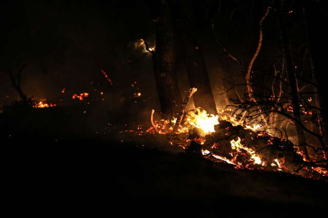 İnsanlığımızdan utandık! Yangından kaçan çoban ve koyunları siteye alınmadı