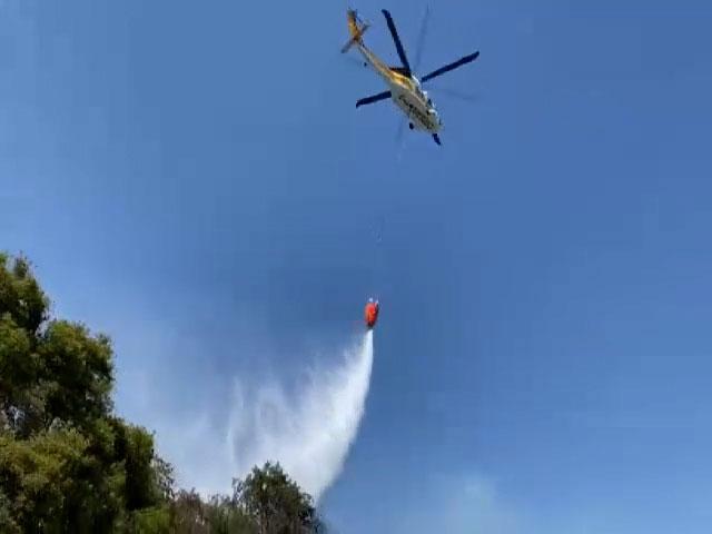 Fethiye'de orman yangını