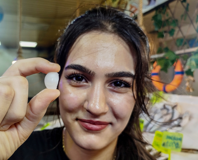 Balık 650, başındaki taş 10 bin lira