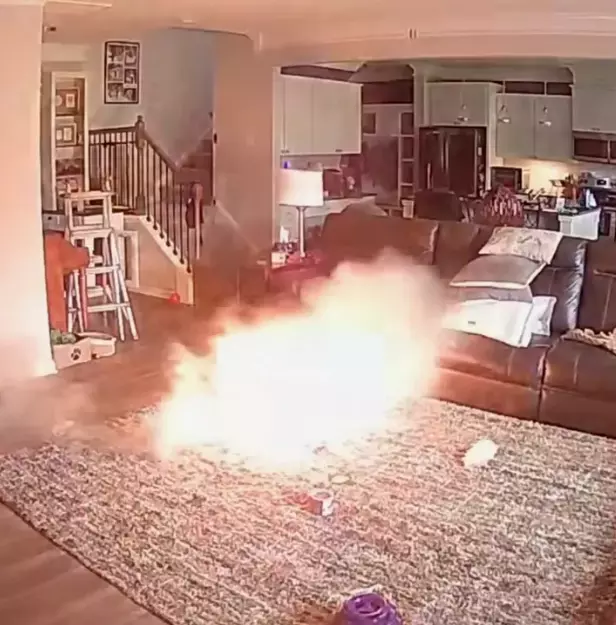Lityum pili ısıran köpek evde büyük bir yangının çıkmasına sebep oldu