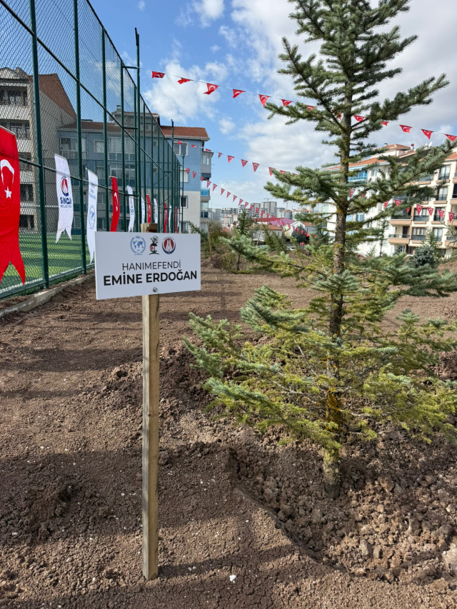 Filistinli şehit gazeteciler anısına fidanlar Ankara'da toprakla buluştu Filistinli şehit gazeteciler anısına fidanlar Ankara'da toprakla buluştu