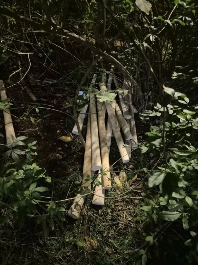 Karadağ'da gerilim tırmanıyor! Türklere saldırmak için her yere beyzbol sopası gizlemişler