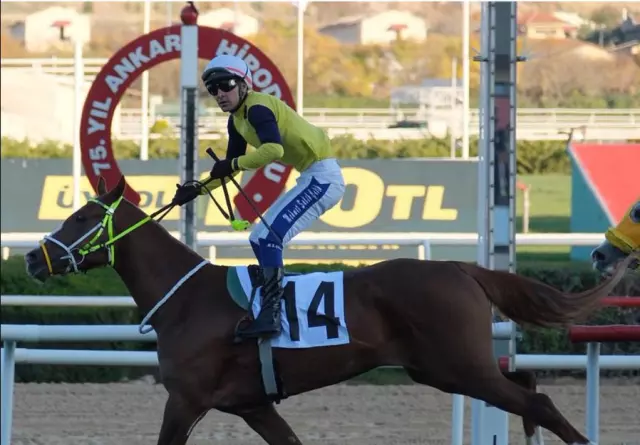 At yarışlarında Cumhuriyet ve Cumhurbaşkanlığı koşuları nefesleri kesti At yarışlarında Cumhuriyet ve Cumhurbaşkanlığı koşuları nefesleri kesti