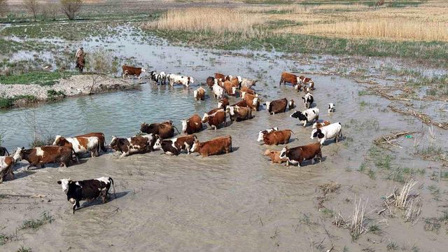 8 yıl sonra yüz güldüren görüntü