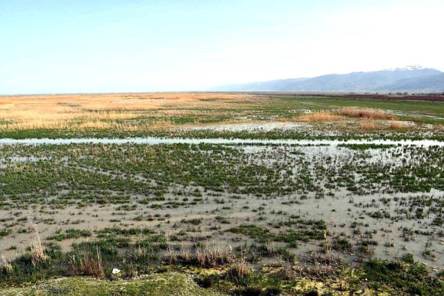 8 yıl sonra yüz güldüren görüntü