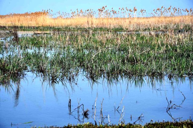 8 yıl sonra yüz güldüren görüntü