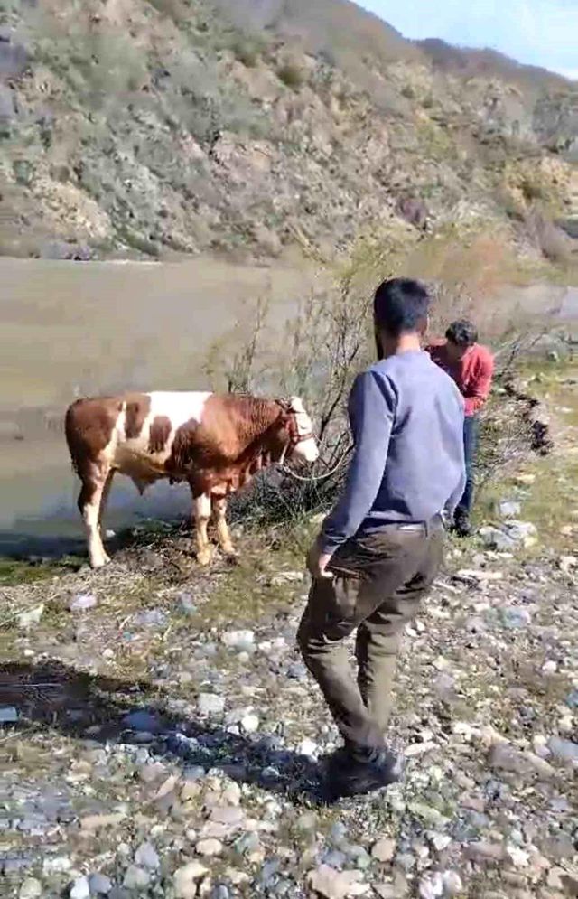 Nehirde ilginç anlar! Bu sefer balık değil bakın ne tuttular