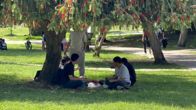 Adana'da yaz gelmeden termometreler çıldırdı