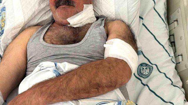 Severek beslediği hayvan bu hale getirdi