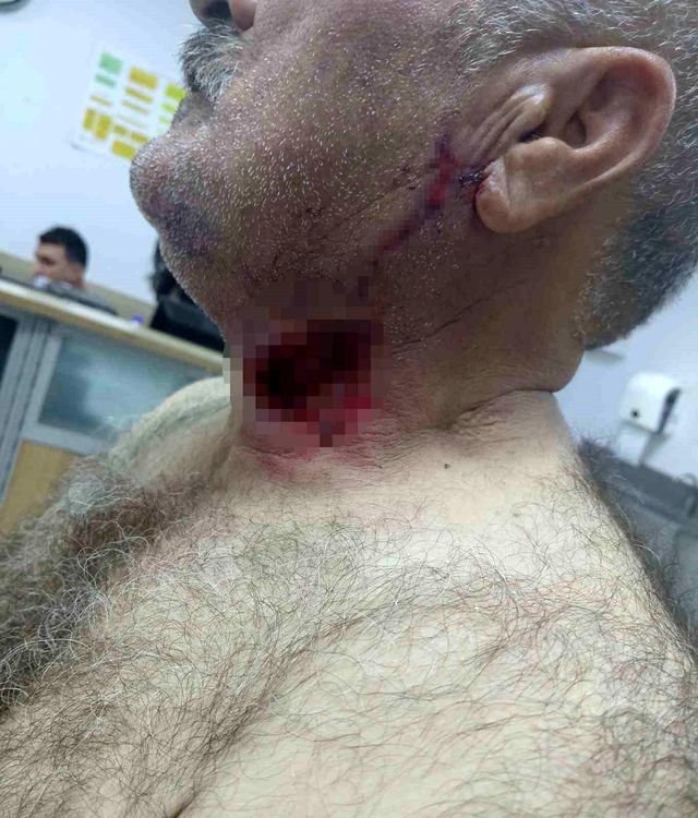 Severek beslediği hayvan bu hale getirdi