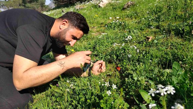 Ömrü 10 gün, koparmanın cezası araba parası