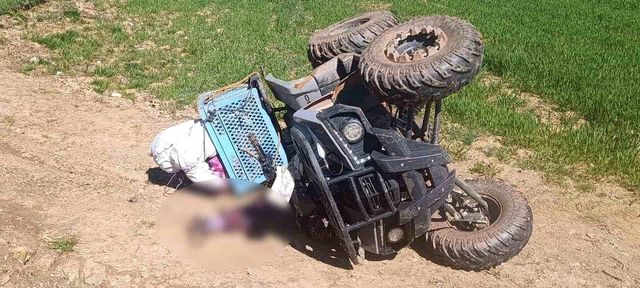 Hayvanlarına bakmaya giden kadının acı sonu