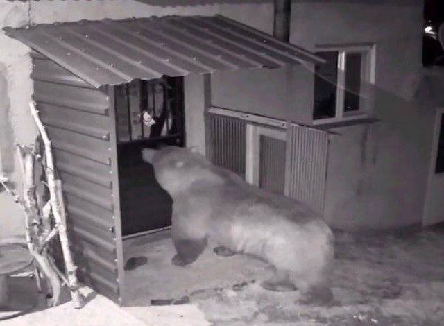 Kapıdaki davetsiz misafir: Kamera her anını saniye saniye kaydetti